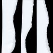 Penology